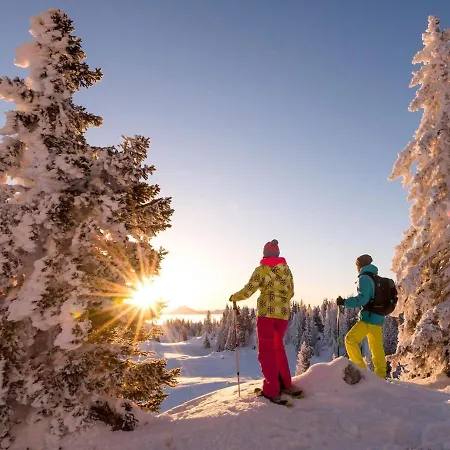 Dobratschblick Alpe Maritima Ski&see-14 By Interhome Διαμέρισμα *