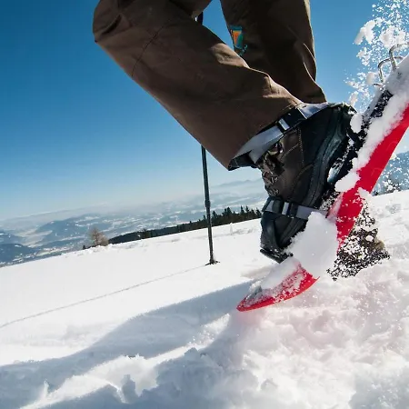 Dobratschblick Alpe Maritima Ski&see-14 By Interhome Appartement *