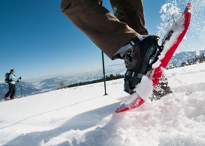 Dobratschblick Alpe Maritima Ski&see-14 By Interhome דירה *